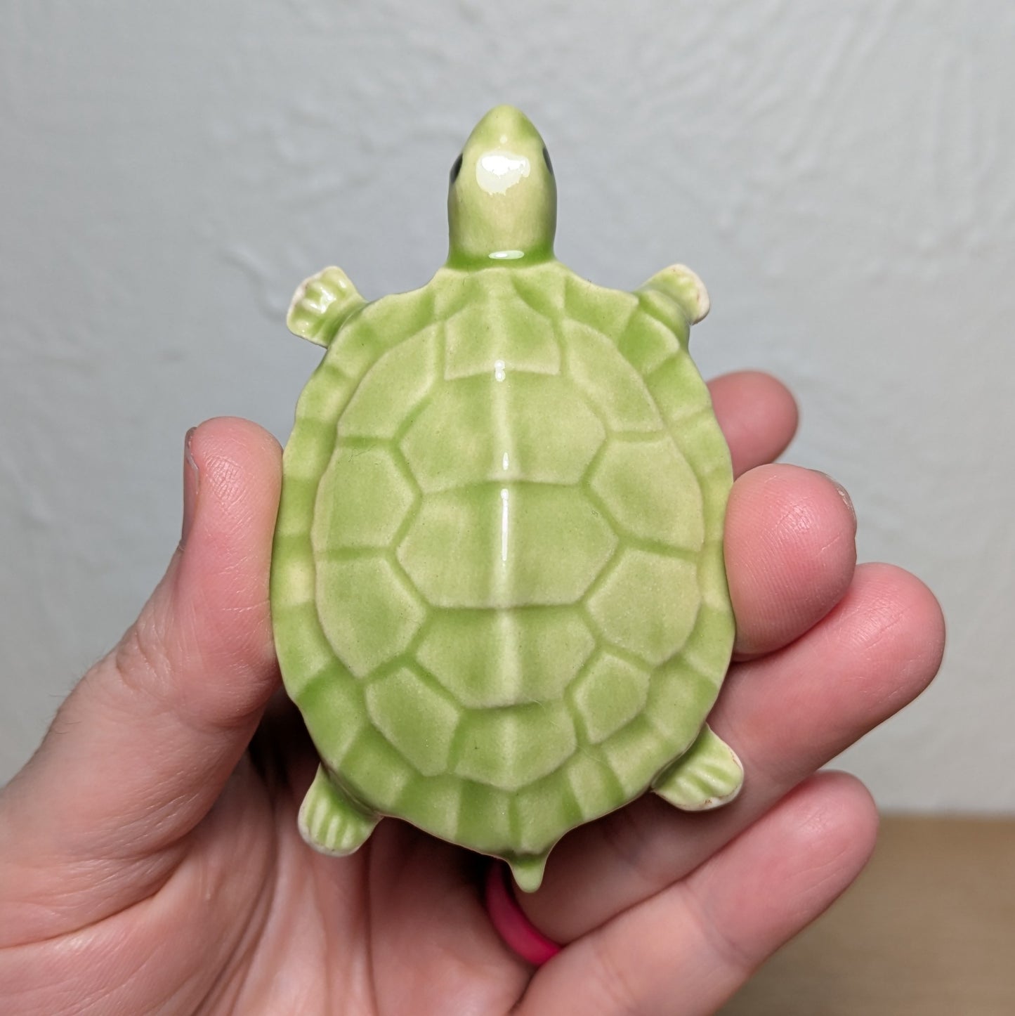 Naughty Turtle #2 - with boobs!