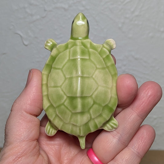 Naughty Turtle #1 - with penis!