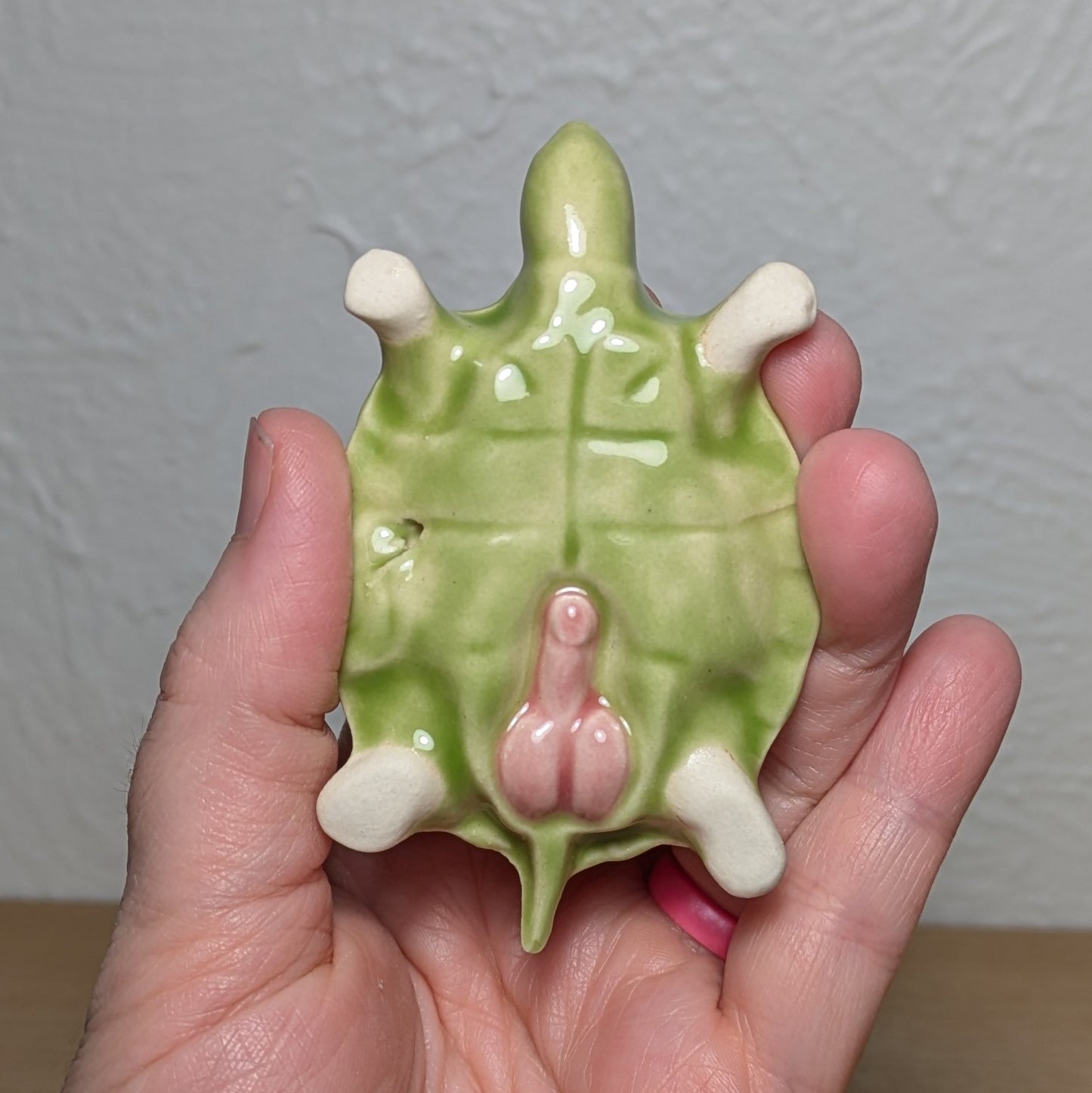 Naughty Turtle #1 - with penis!